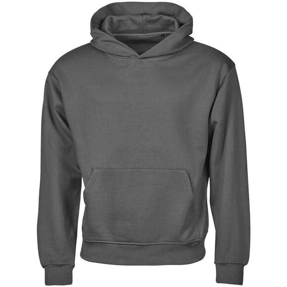 Tee Jays Mens Urban Heavyweight Heavy Loose Fit Hoodie / Powder Grey